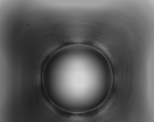 X0000088410633200705291450