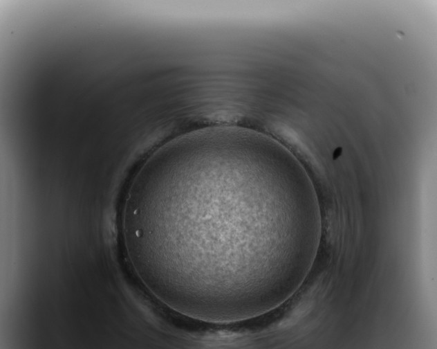 X0000088410634200705291450