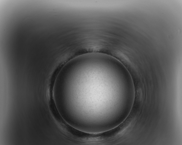 X0000088410638200705291450