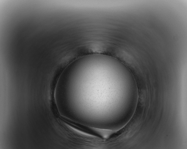 X0000088410639200705291450