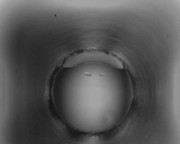 X0000088410640200705291450