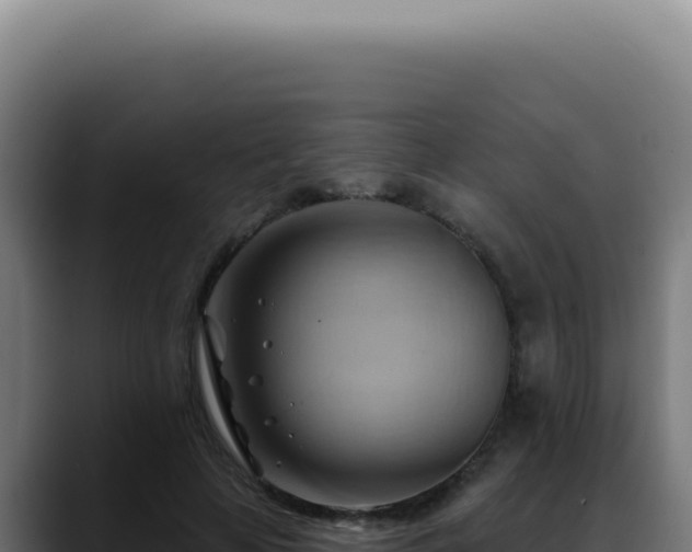 X0000088410641200705291450