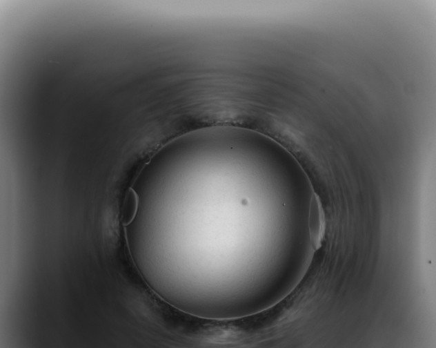 X0000088410642200705291450