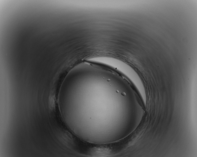 X0000088410644200705291450