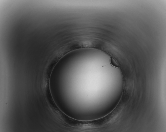 X0000088410645200705291450