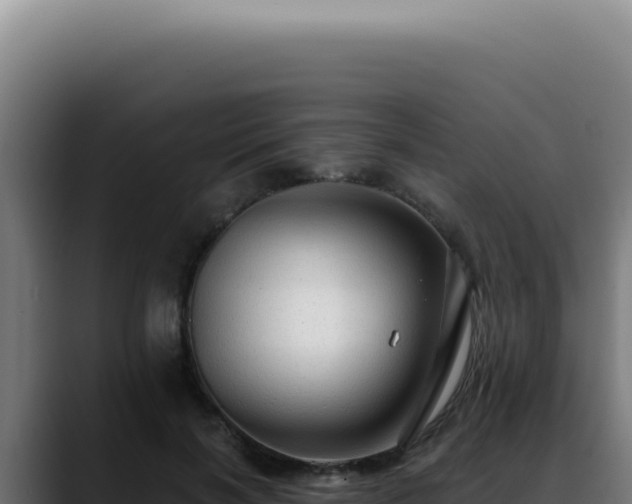X0000088410646200705291450