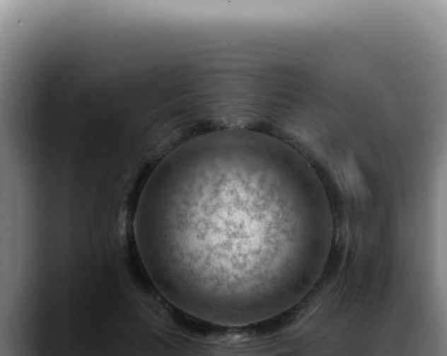 X0000088410647200705291450