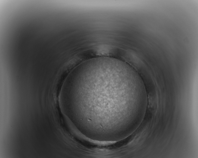 X0000088410648200705291450