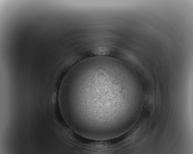 X0000088410652200705291450