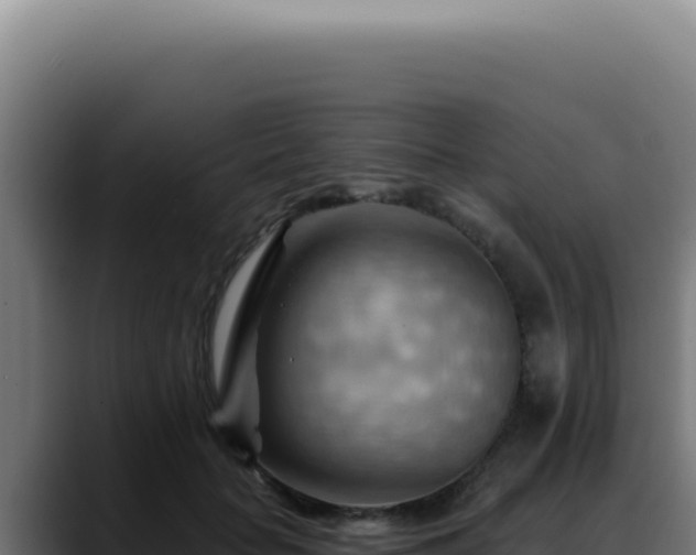 X0000088410653200705291450