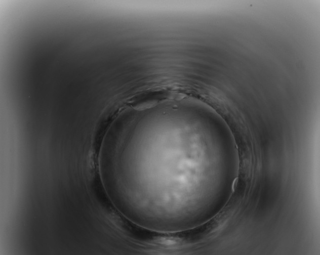X0000088410654200705291450