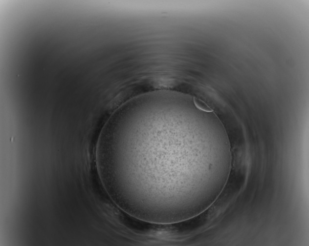 X0000088410655200705291450