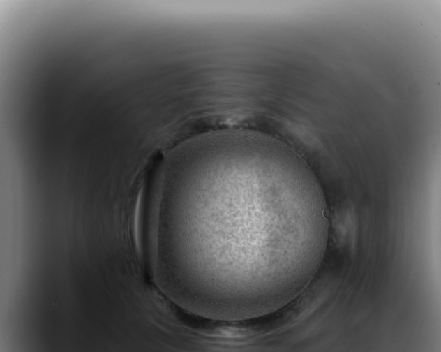 X0000088410657200705291450