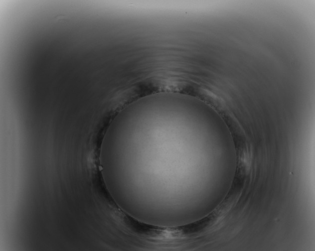 X0000088410663200705291450
