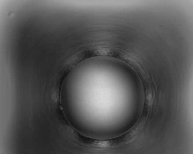 X0000088410665200705291450