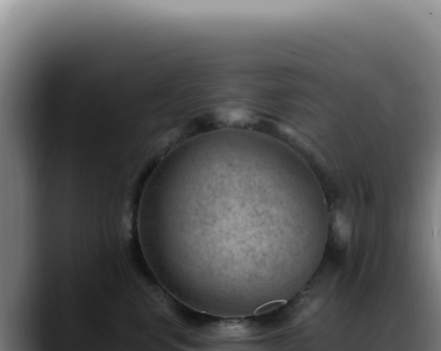 X0000088410668200705291450