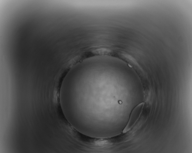 X0000088410669200705291450