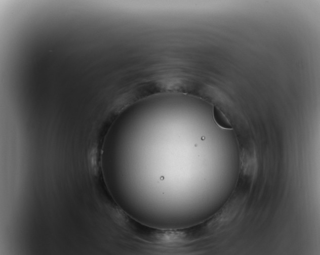 X0000088410670200705291450