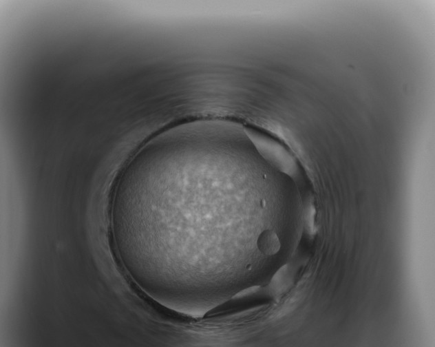 X0000088410673200705291450