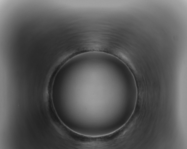X0000088410674200705291450