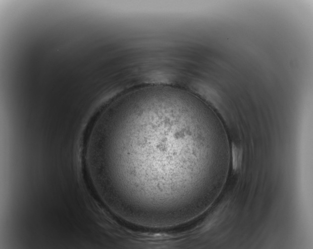 X0000088410675200705291450