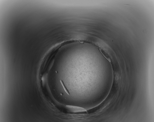 X0000088410676200705291450