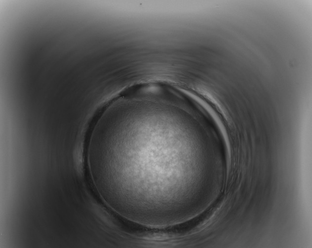 X0000088410677200705291450