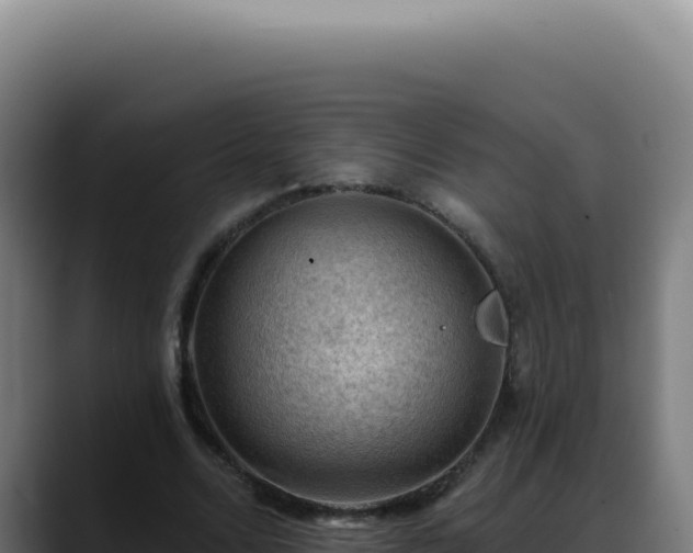 X0000088410680200705291450
