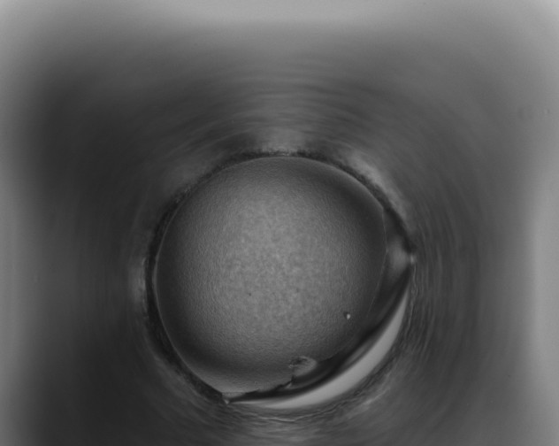 X0000088410681200705291449