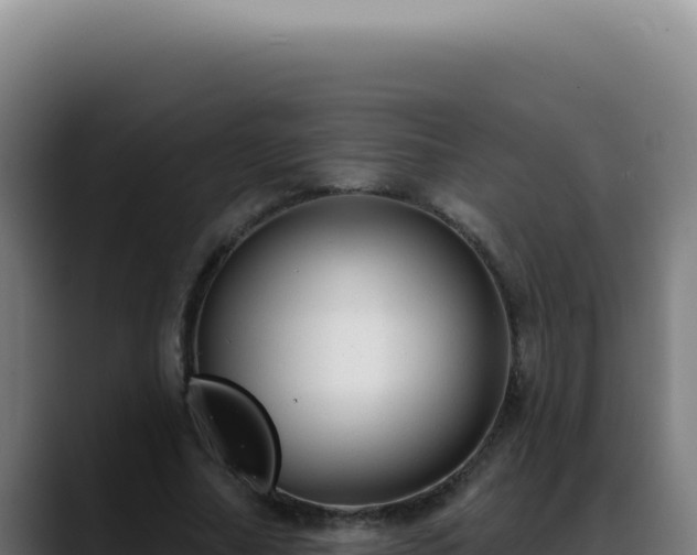 X0000088410682200705291449