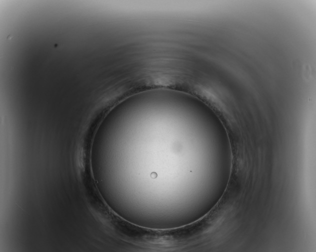 X0000088410683200705291449