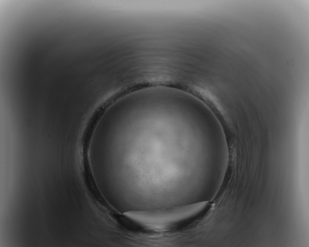 X0000088410684200705291449