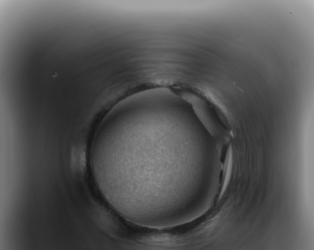 X0000088410685200705291449