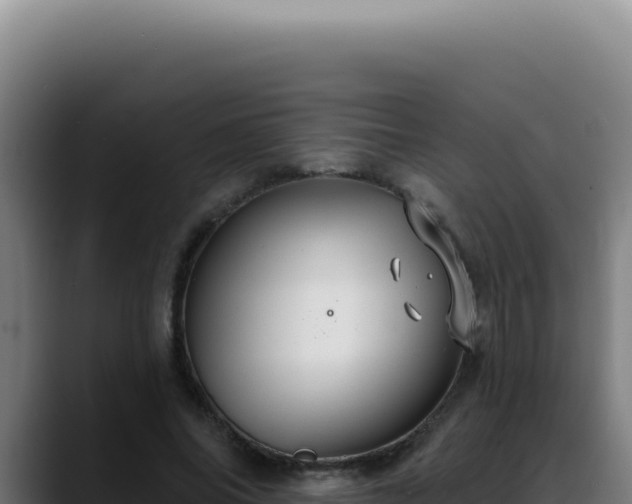 X0000088410686200705291449