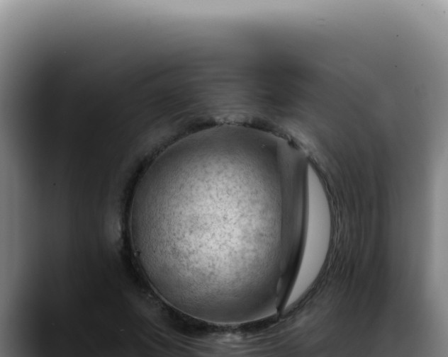 X0000088410687200705291449