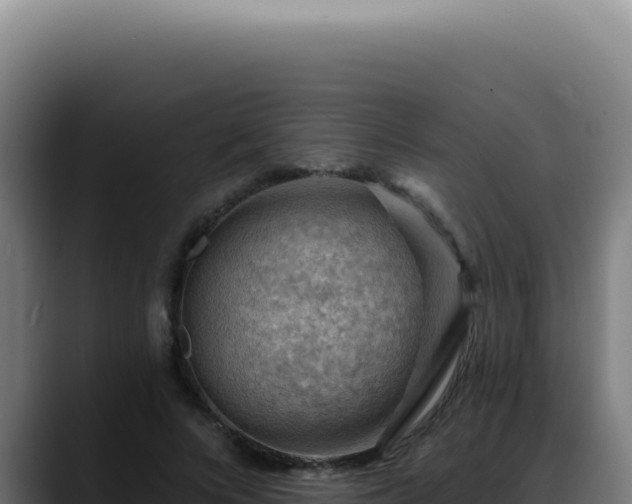 X0000088410688200705291449