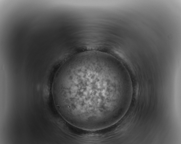 X0000088410691200705291449