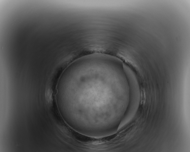 X0000088410692200705291449