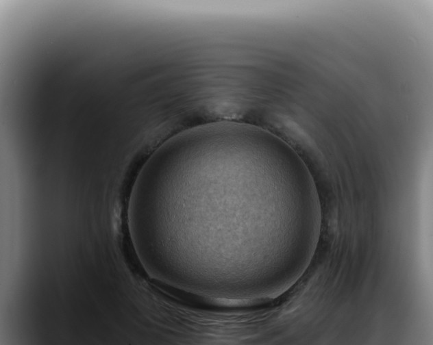 X0000088410693200705291449