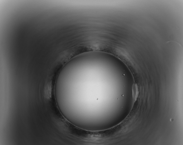 X0000088410694200705291449