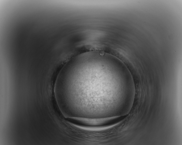 X0000088410695200705291449