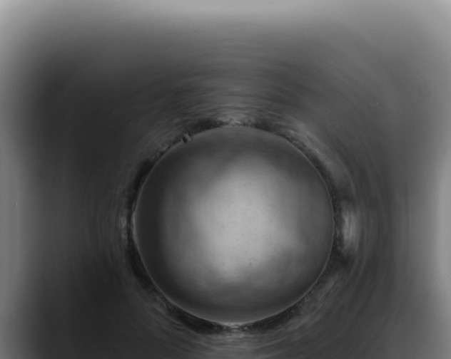 X0000088410696200705291449