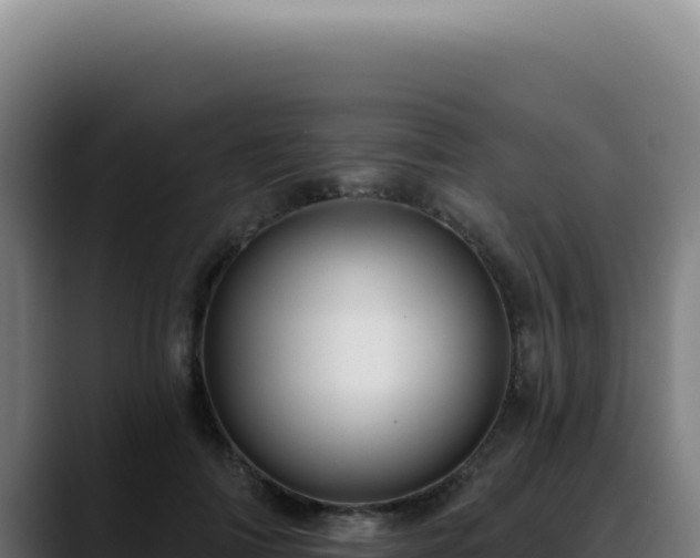 X0000088410698200705291449
