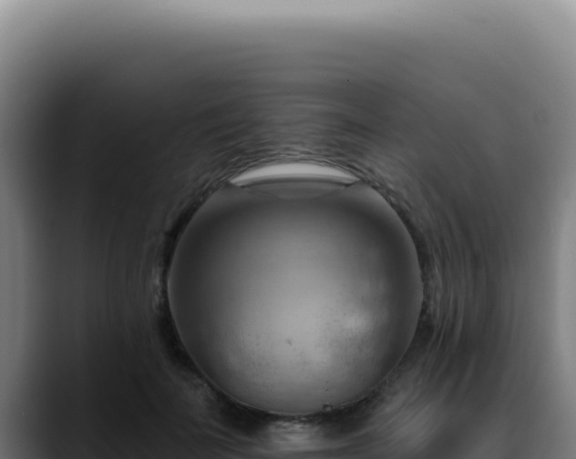 X0000088410699200705291449