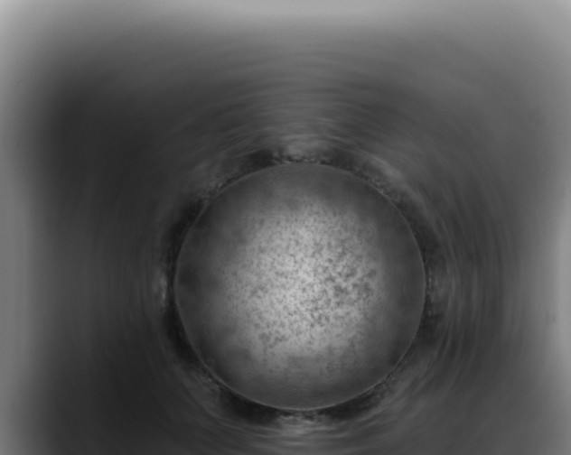 X0000088410703200705291449
