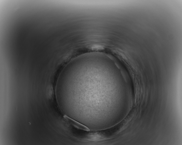 X0000088410704200705291449