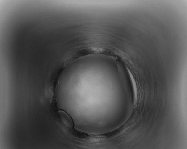 X0000088410707200705291449