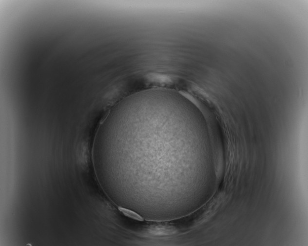 X0000088410708200705291449