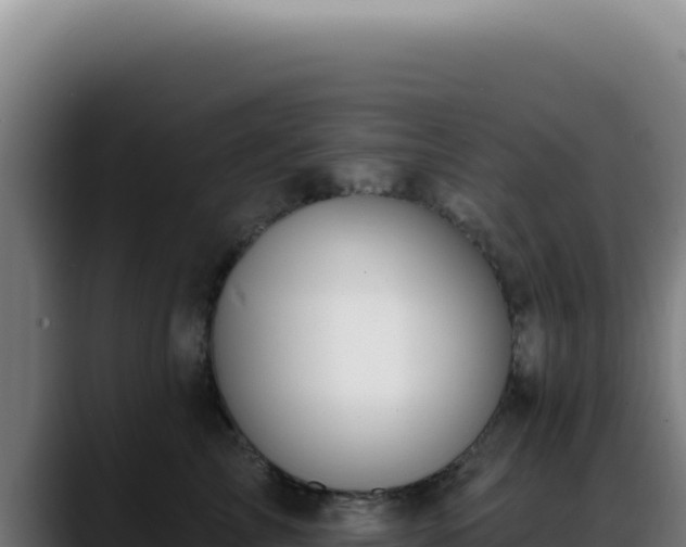 X0000088410713200705291449