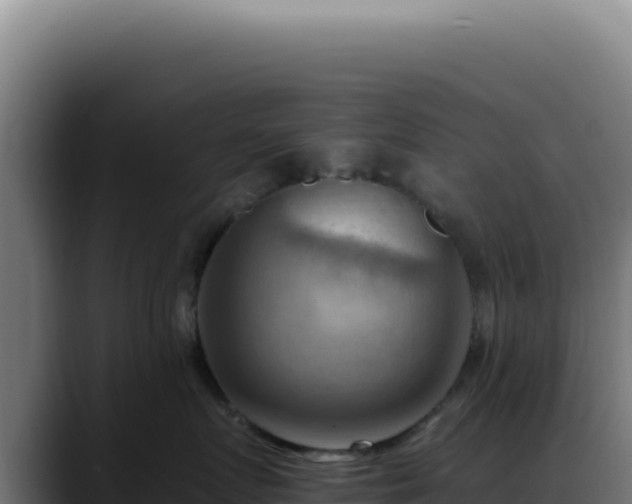 X0000088410719200705291449